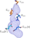 Figure 5.