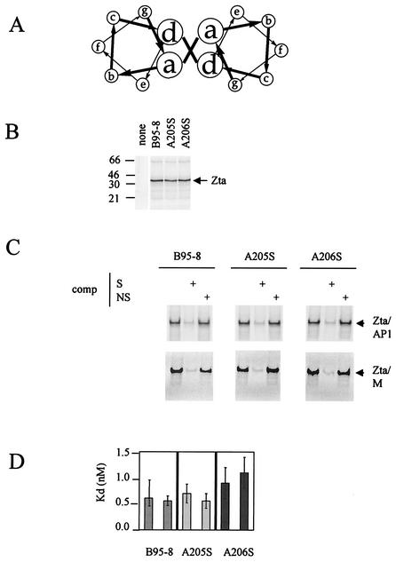 FIG. 2.