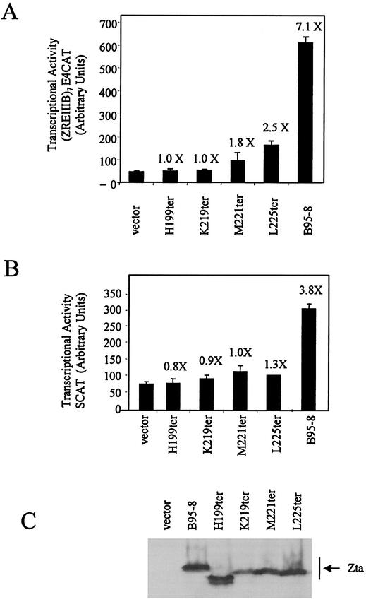 FIG. 6.