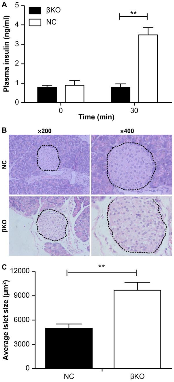 Figure 5.