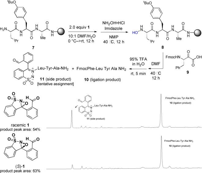 Scheme 3