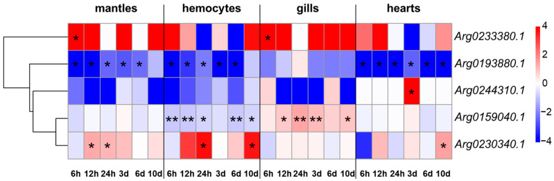 Figure 7