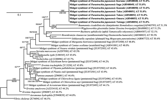 FIG. 2.