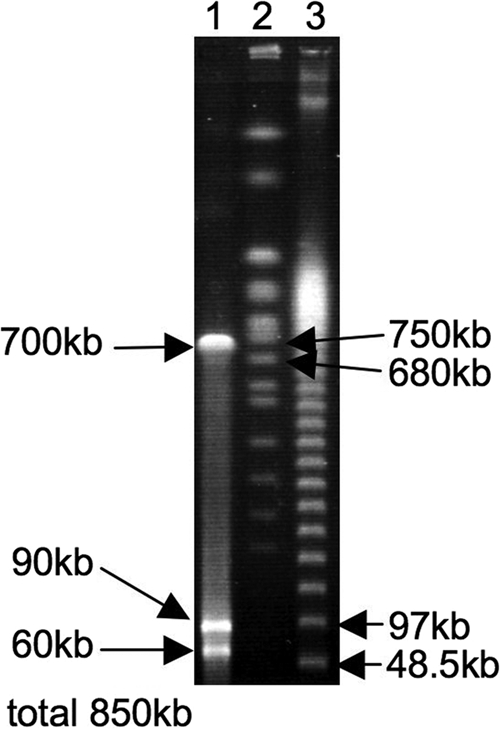 FIG. 3.