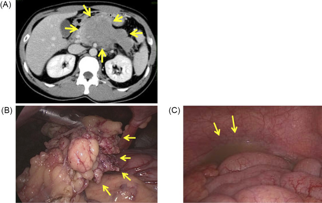 Figure 1.