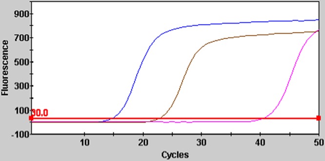 FIG 1