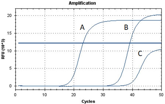 FIG 2