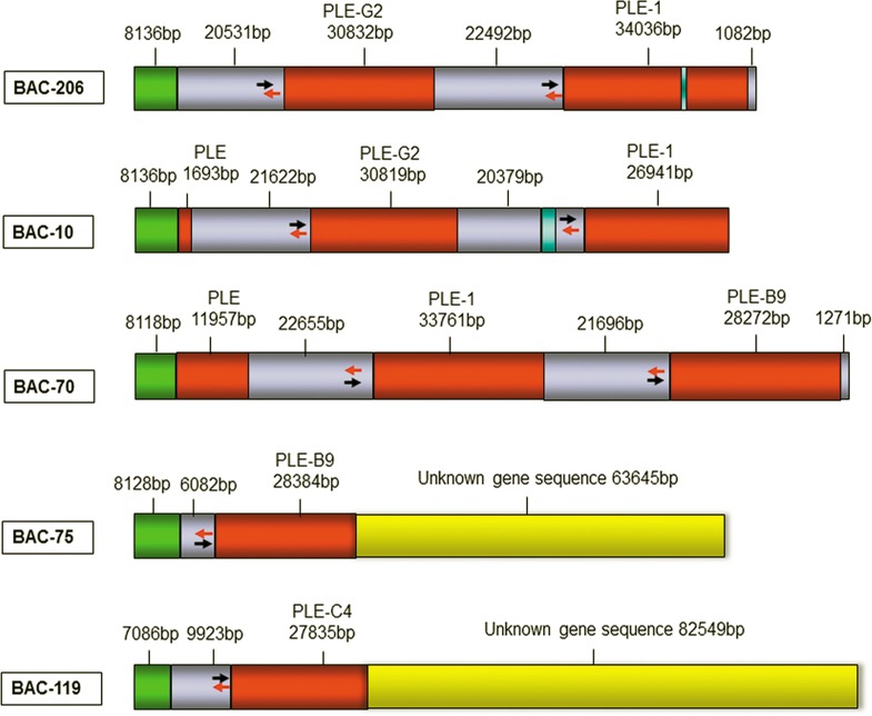 Fig 4