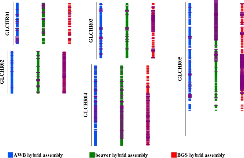 Fig. 3