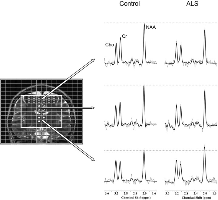 Fig 1.