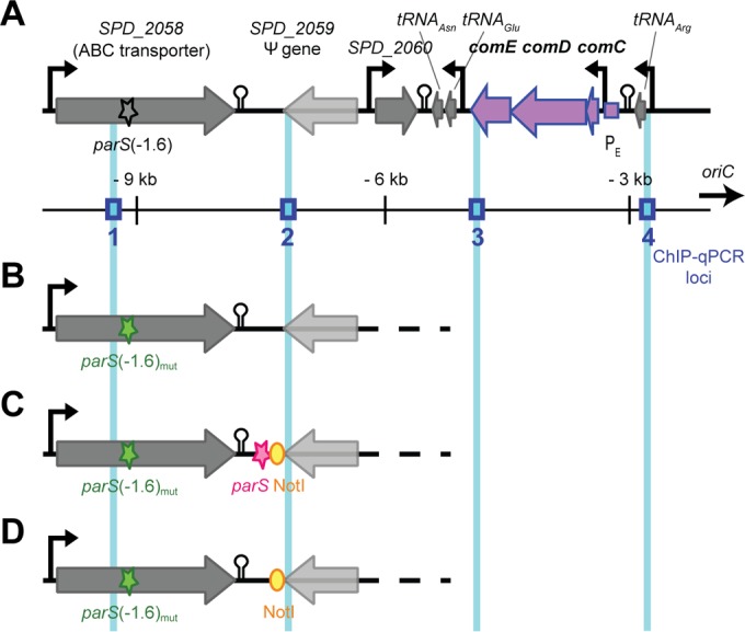 FIG 3 