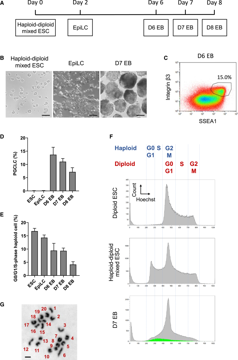 Figure 1