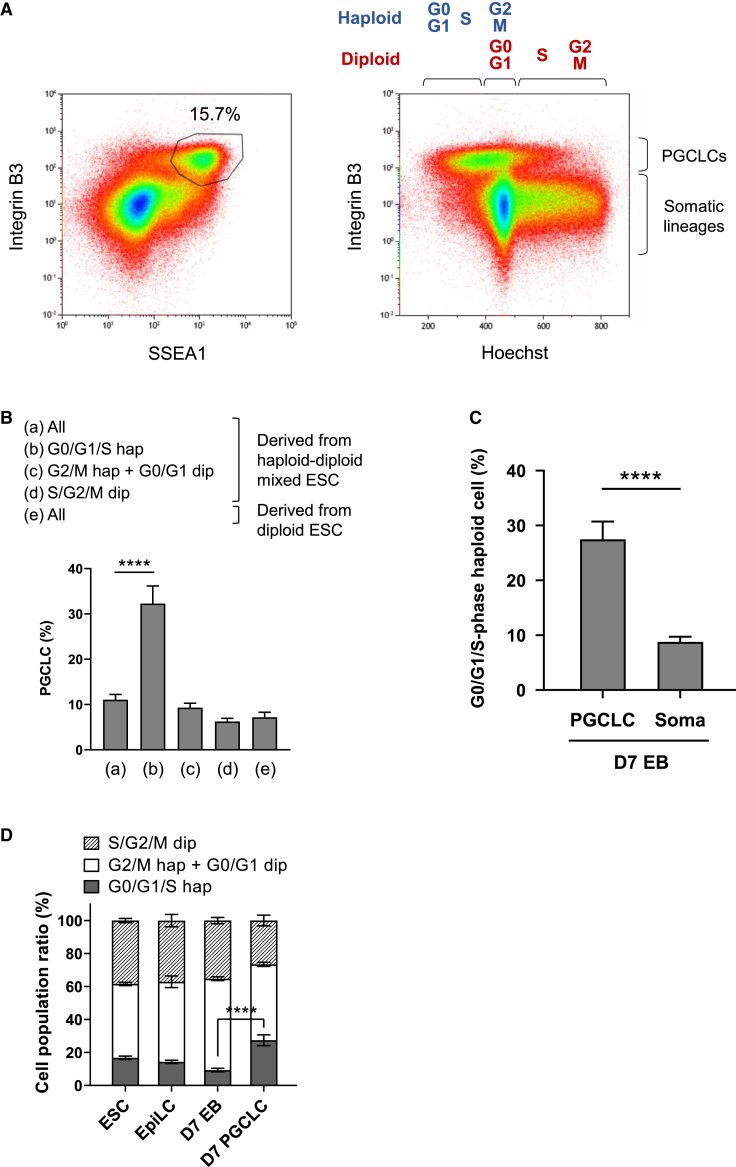 Figure 2