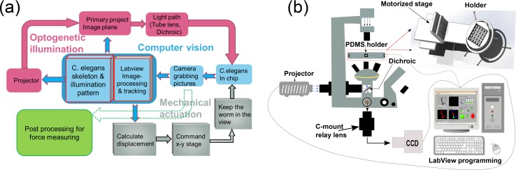 FIG. 2.