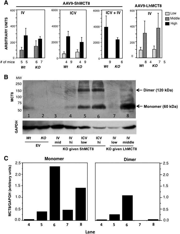 FIG. 2.