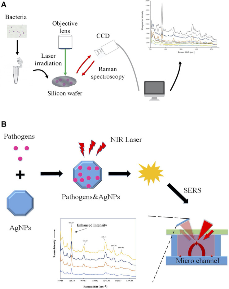 FIGURE 2