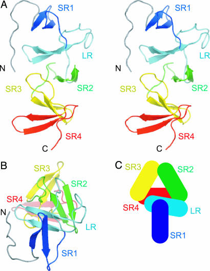 Fig. 1.