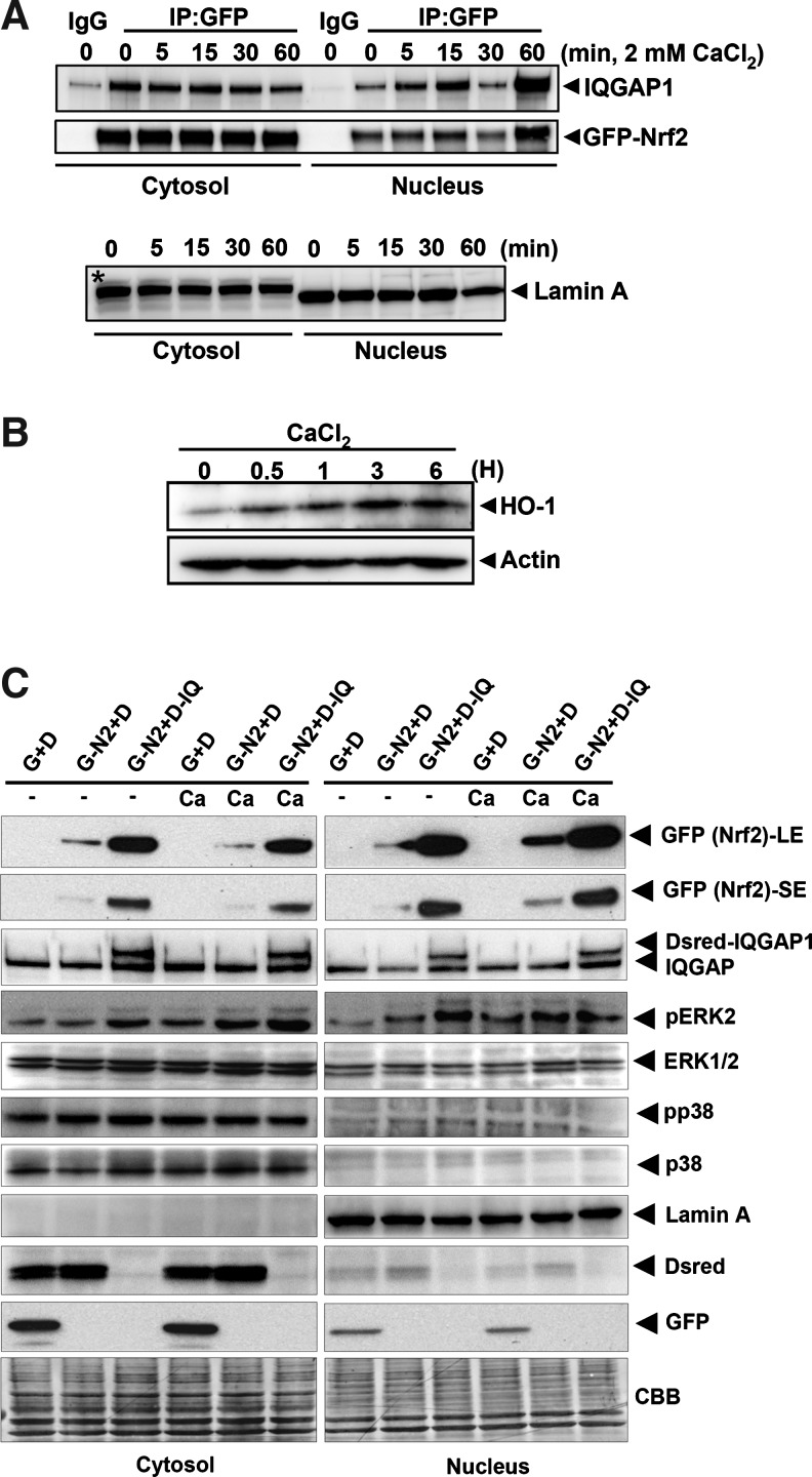 FIG. 5.