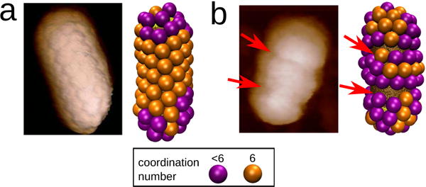 FIG. 1