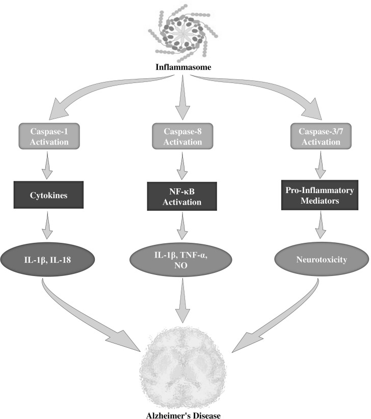 Fig. (2)