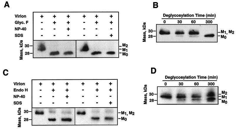 FIG. 8