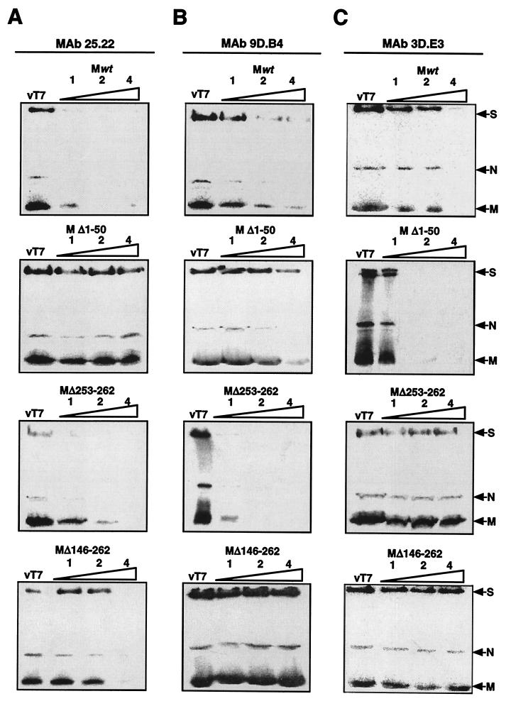 FIG. 5