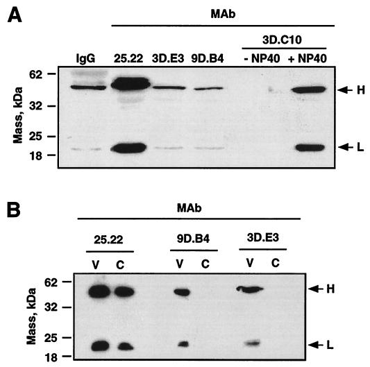 FIG. 7