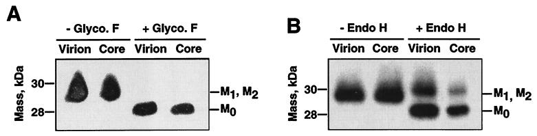 FIG. 10