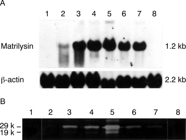 Figure 2  