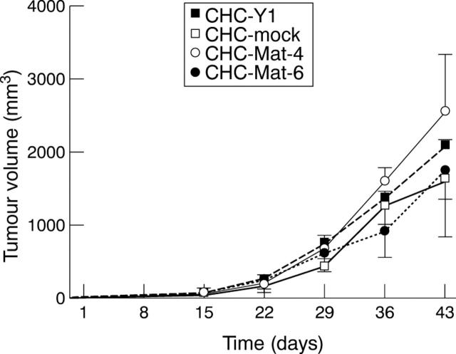 Figure 4  