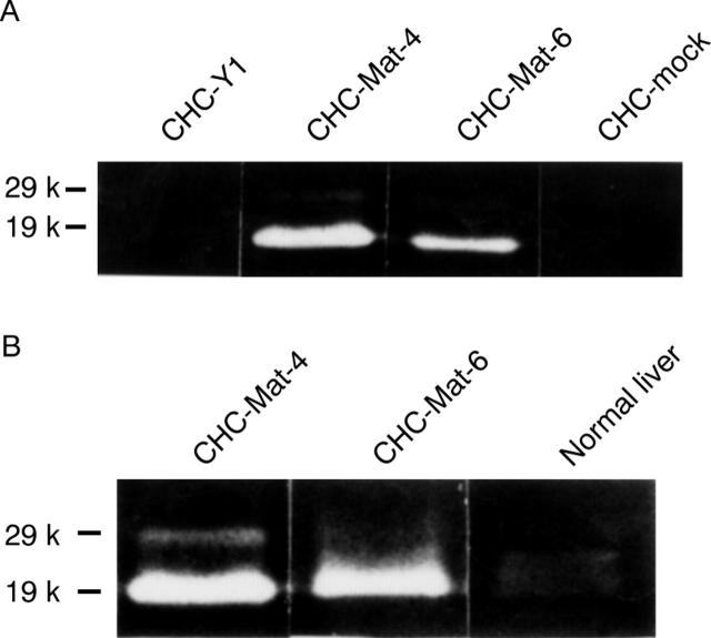 Figure 6  