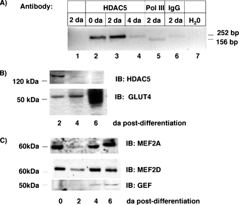 FIGURE 9.