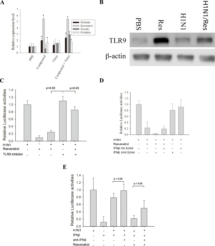 Fig 4