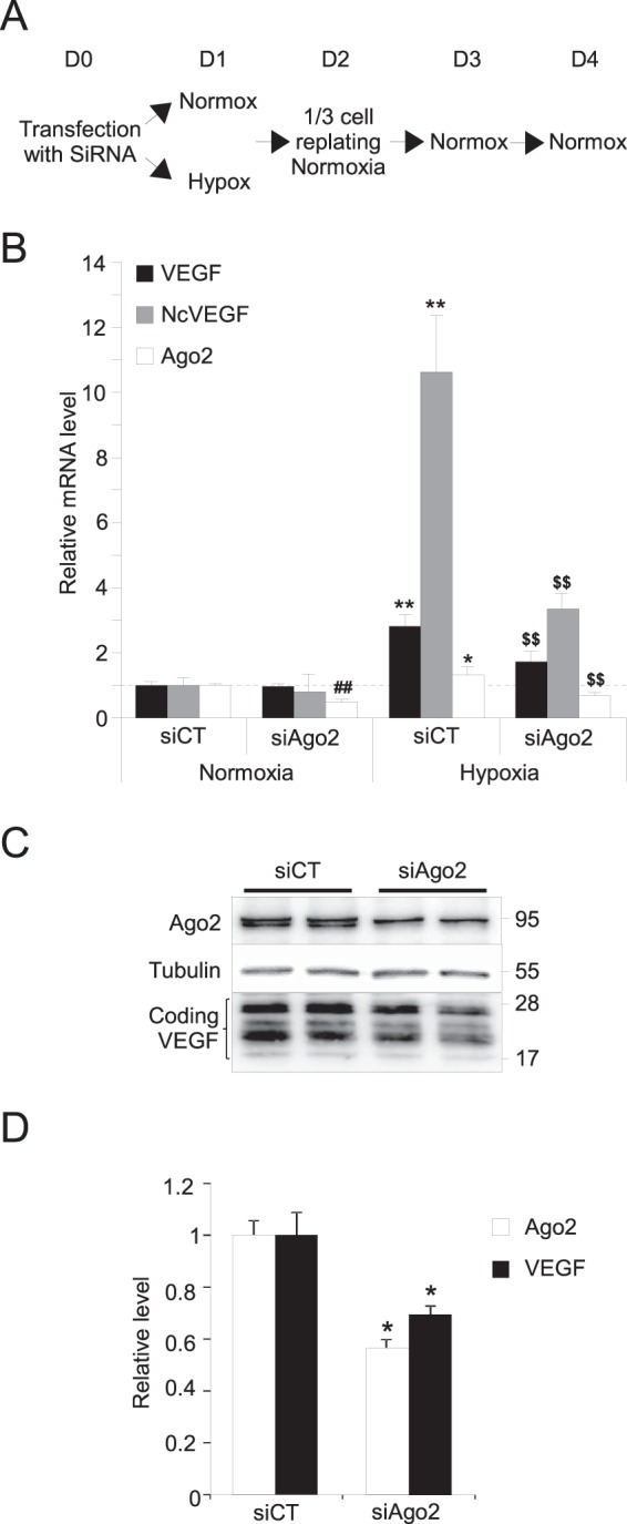 FIG 6