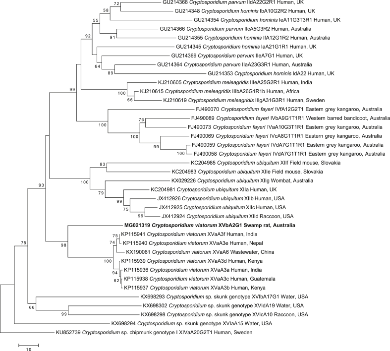 Fig. 2