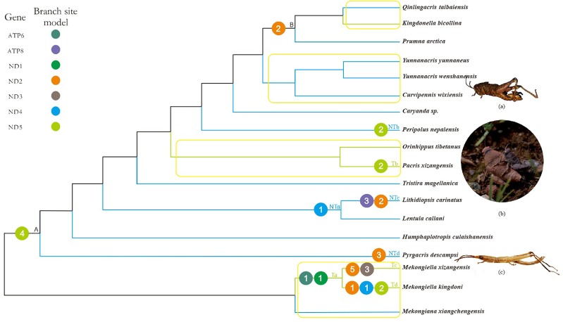 FIGURE 2