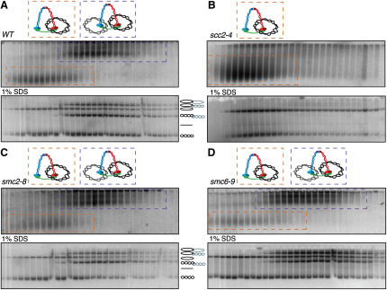 Figure 6