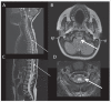Figure 12-1