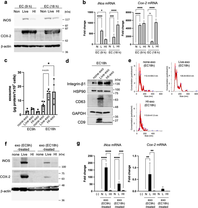 FIG 1