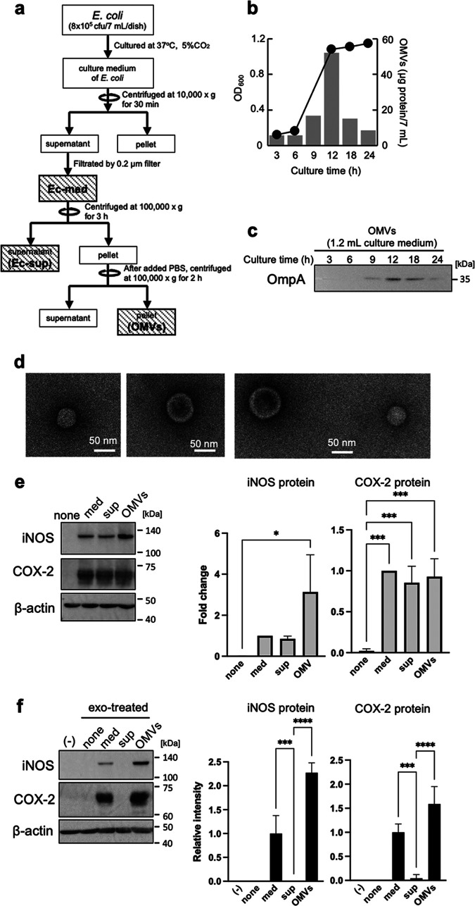 FIG 2