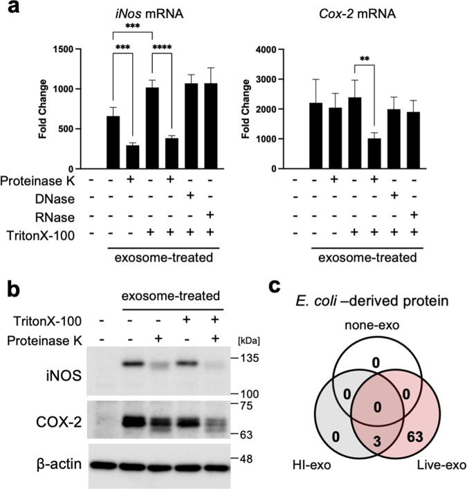 FIG 3