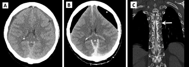 Fig. 3.