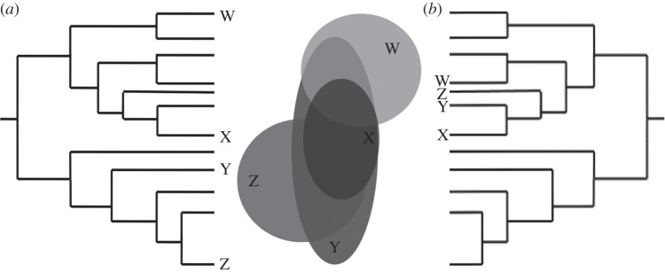 Figure 1.