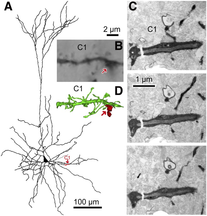 Figure 3.