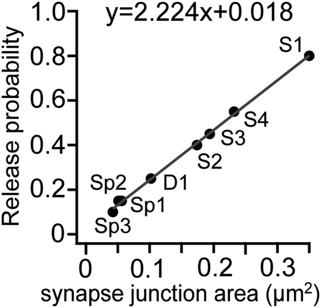 Figure 8—figure supplement 1.