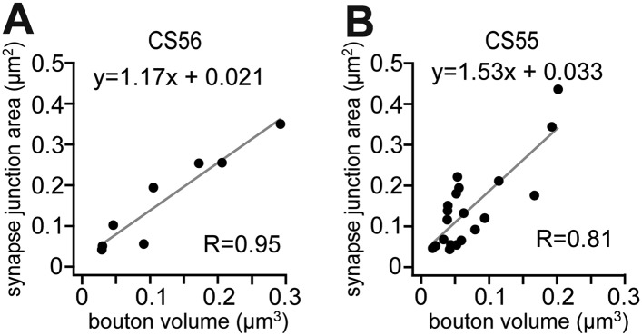 Figure 6—figure supplement 1.