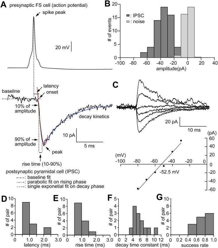 Figure 1—figure supplement 2.