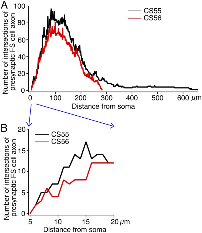 Figure 2—figure supplement 2.