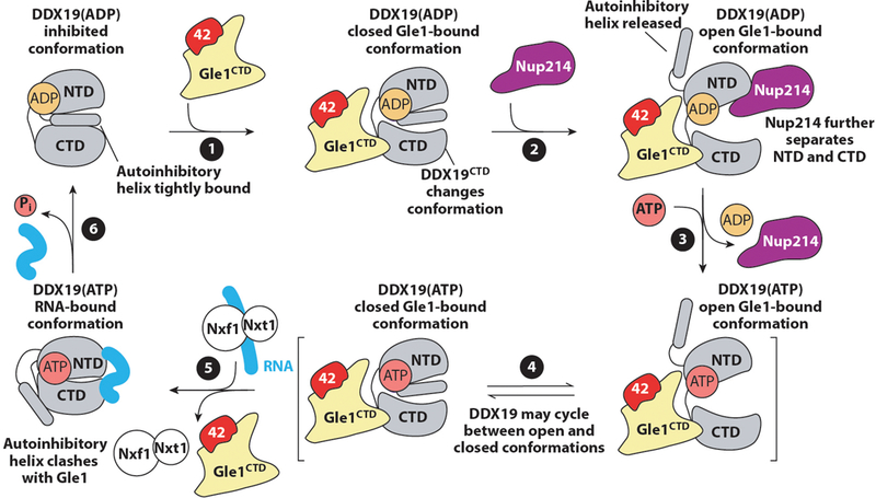 Figure 14