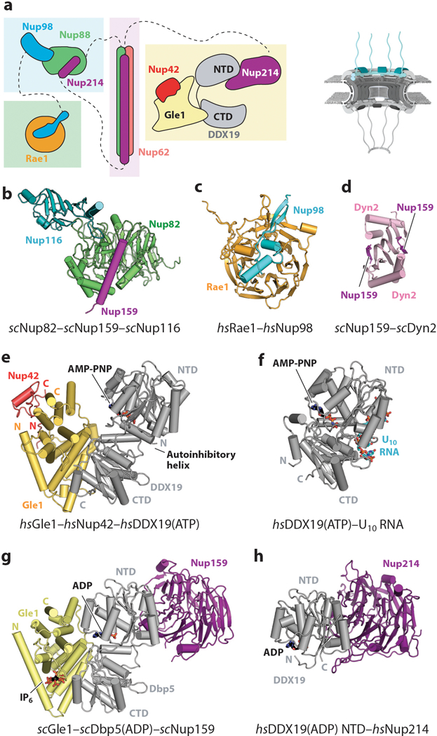 Figure 13